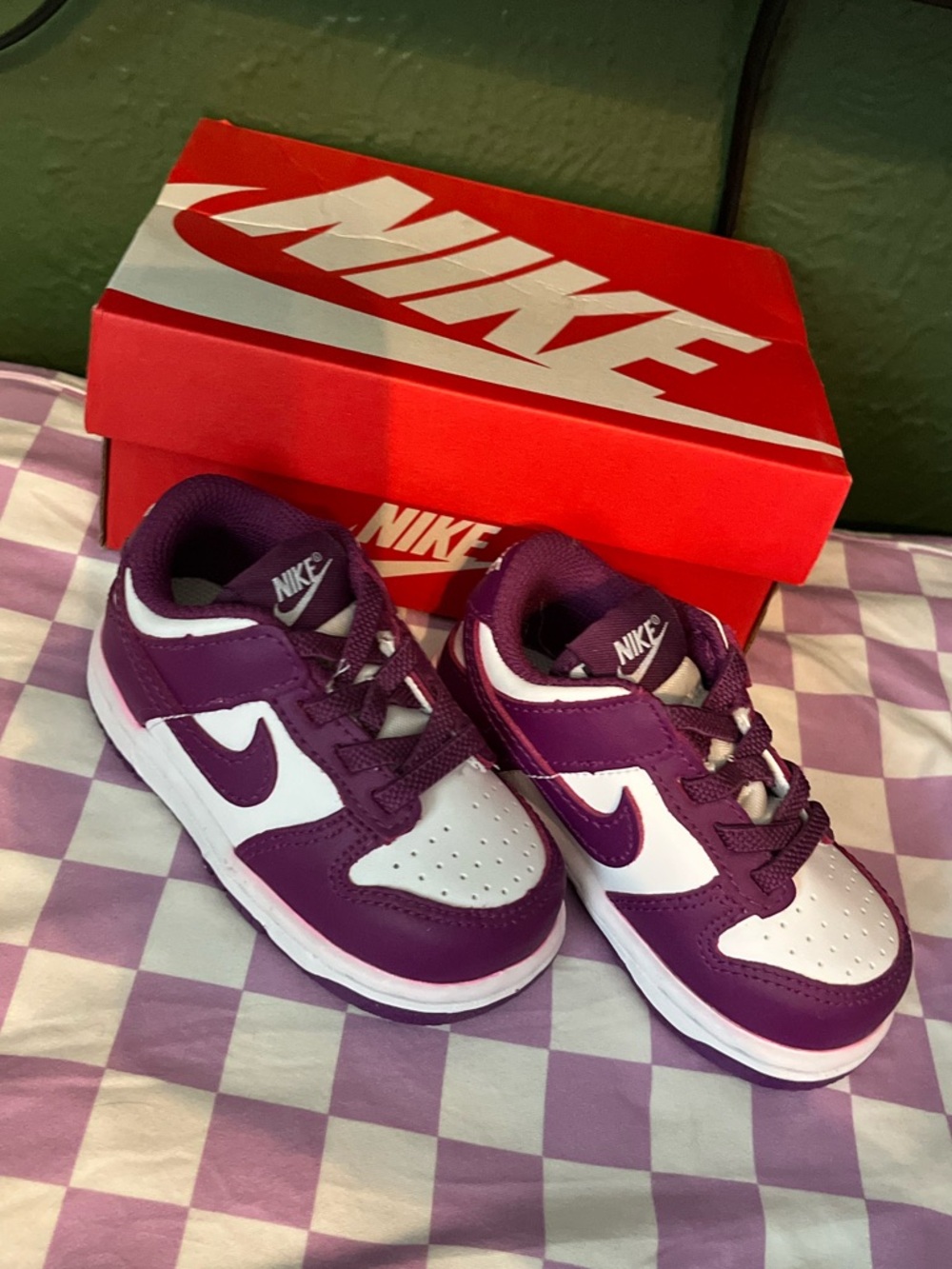 Nike Dunk Low 5C NWOT